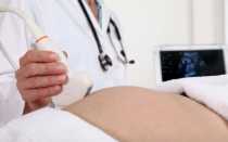 Симптомы и УЗИ на 24 неделе беременности (ультразвуковое исследование)