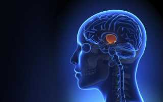 Мозжечковый инсульт: причины, симптомы, методы лечения, последствия, реабилитация